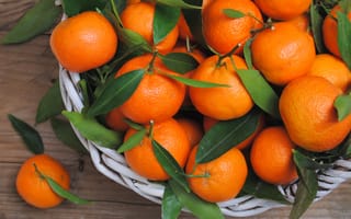 Картинка oranges, апельсины, fruits, leaves