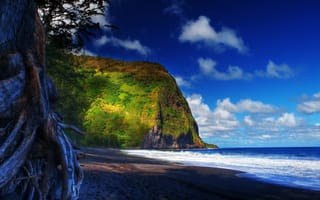 Картинка hawaii, небо, дерево, гора, гаваи, песок, море, облака