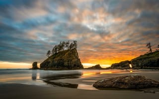 Картинка песок, Washington, рассвет, деревья, скала, океан, Olympic National Park, пляж
