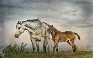 Картинка кони, природа, стиль