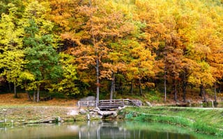 Картинка bridge, nature, Landscape, мост, autumn, осень, lake, озеро, природа, trees, пейзаж, деревья