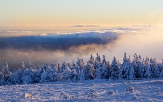 Картинка Brocken, Schnee, Harz, Wolken, Winter, Morgen