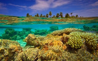 Картинка Мальдивские острова, коралловый остров, сплит, вода, кораллы, Тинадхоо, пальмы, атолл Хувадху, подводная съёмка, индийский океан, остров, Гаафу-Дхаалу