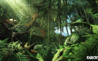 Картинка far cry 3, заросли, крушение, game, игра, джунгли, самолет