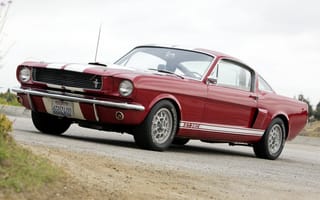 Обои 1966, Mustang, машина, мускул кар, Shelby, GT350, Ford, форд