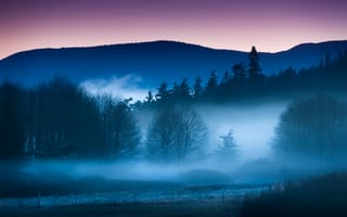Картинка пейзаж, небо, туман, деревья