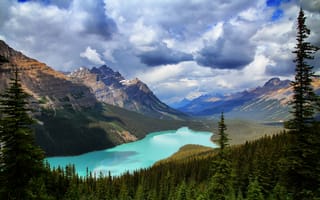 Обои Banff National Park, Peyto Lake, горы, озеро, Canada, природа, лес