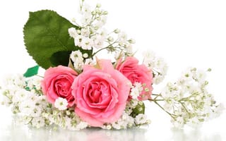 Обои розы, цветы, букет, розовые розы