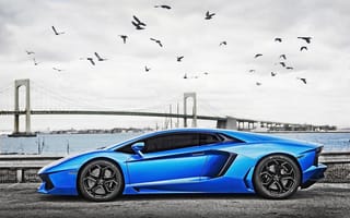 Картинка Lamborghini, Blue, Aventador, Supercar, Суперкар, Мост, LP700-4