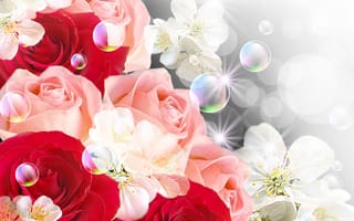 Картинка цветы, bubbles, flowers, roses, цветочки, розы, пузыри
