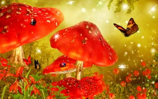 Картинка сказка, гриб, бабочка, цветы