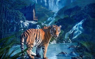 Картинка водопад, природа, взгляд, хищник, тигр