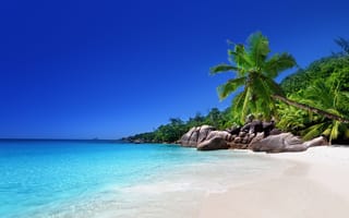 Картинка тропики, vacation, sunshine, summer, море, пляж, ocean, песок, tropical, sea, берег, paradise, beach, пальмы, palms