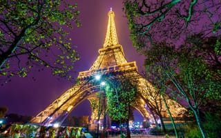 Картинка вечер, башня, ночь, огни, Париж, люди, деревья