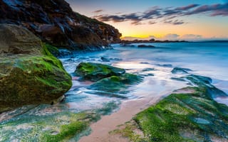 Картинка Australia, Curl Curl Beach, пляж, океан, природа, водоросли