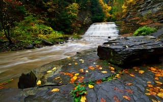 Картинка листья, лес, поток, река, камни, скалы, водопад, деревья, осень