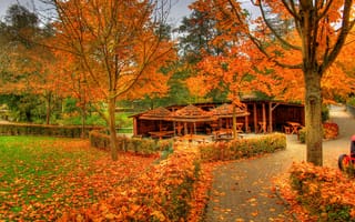 Картинка беседка, осень, Заальбургзидлунг, парк, деревья, Германия, листья