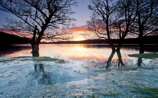 Картинка озеро, деревья, лед, закат, заморозки