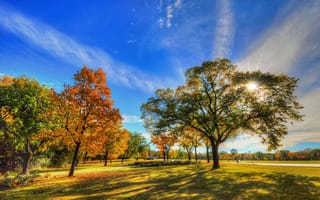 Картинка листья, осень, трава, парк, деревья, небо, облака