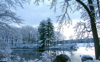 Картинка водоем, камни, снег, Деревья