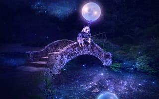 Картинка удочка, панда, мост, воздушный шар, девочка, ночь, река, рыбачит