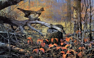 Картинка осень, осенний лес, птица, живопись, сухие, Autumn Ivy, валежник, деревья, Don Kloetzke