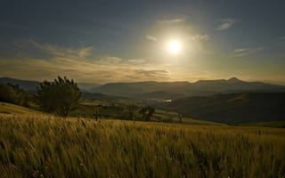 Картинка закат, деревья, Италия, холмы, поля, солнце