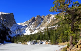 Картинка парк, Rocky, США, снег, Colorado, природа, Mountain, горы, ель