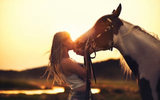 Обои Horse, дружба, закат, лошадь, девушка