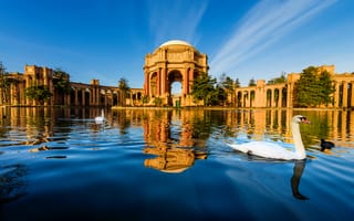 Картинка Сан-Франциско, аркада, лебедь, пруд, архитектура, Дворец изящных искусств, США, птица, небо