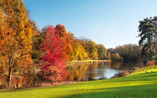 Картинка Autumn park, красивая сцена, Осенний парк, озеро, пейзаж, деревья, beautiful scene, красочные деревья, colorful trees, trees, leaves, lake, nature, природа, листья, landscape