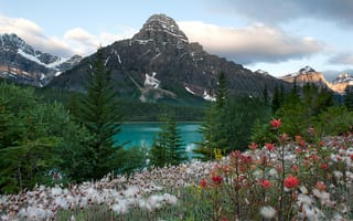 Картинка banff national park, canada, горы, alberta, небо, озеро, облака, цветы