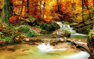 Картинка природа, trees, река, forest, пейзаж, waterfall, nature, водопад, river, fall, осень, лес, деревья, landscape