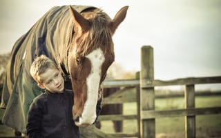 Картинка малчик, настроение, конь