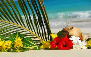 Картинка пляж, море, листок пальмы, коктейль, цветы