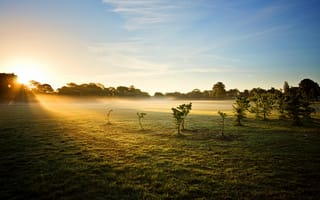 Картинка Sunrise, Astley Park, mist
