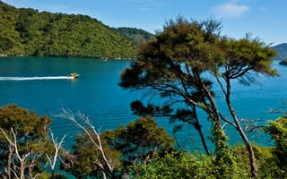 Картинка река Новая Зеландия, South Island, природа