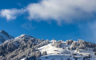 Картинка Adelboden, Швейцария, зима, горы, облака, курорт, снег, небо, ель, деревья