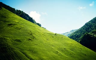 Картинка холмы, косогор, трава, деревья, зелень