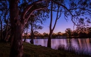 Картинка река, деревья, природа, Mildura Victoria, Австралия, катера