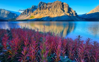 Картинка Alberta, канада, отражение, Canada, листья, растения, горы, небо, снег