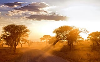 Картинка утро, дорога, Африка, пейзаж