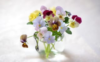 Картинка ваза, букет, цветы, анютины глазки