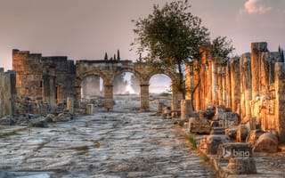 Картинка Hierapolis, мостовая, арка, руины, Turkey, колонна, дорога, Pamukkale, развалины, дерево