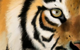 Картинка арт, тигр, взгляд