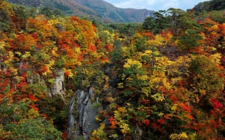 Картинка небо, деревья, скалы, осень, горы, лес