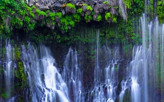 Картинка Cayton, растения, водпад, Northern California, McArthur-Burney Falls Memorial State Park, природа, California, US, скала