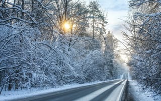 Обои дорога, зима, снег, пейзаж
