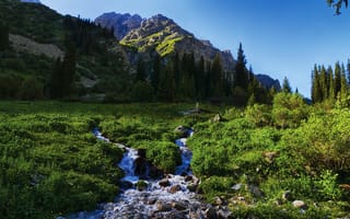 Картинка горы, трава, природа, Tian Shan, ручей, пейзаж, Kyrgyzstan
