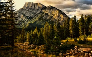 Картинка Jeff R. Clow, деревья, природа, гора, Banff